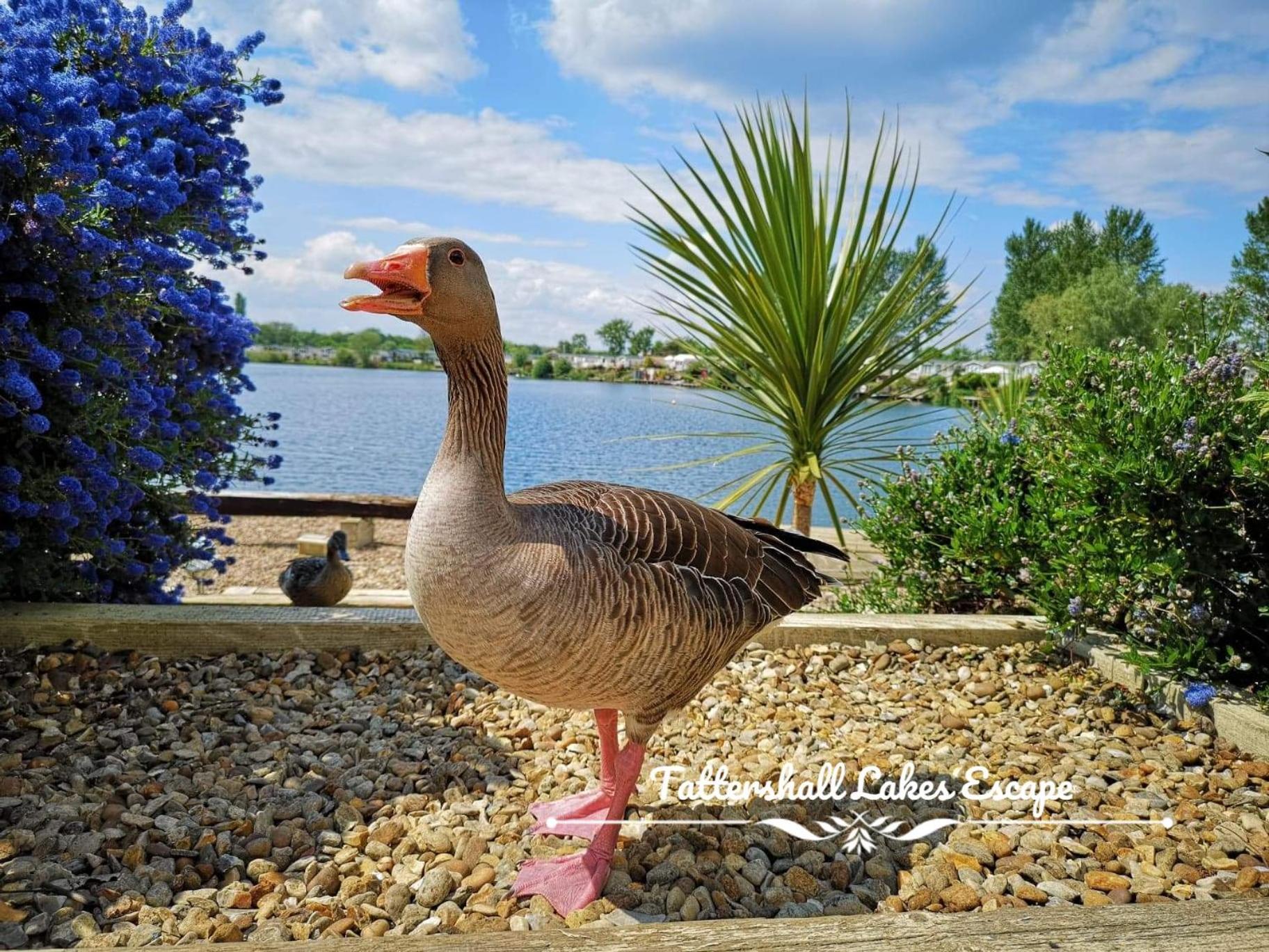 Meridian Tattershall Lakes Escape - Lakeside Lodge Caravan With A Fishing Peg Luxury Hot Tub 外观 照片