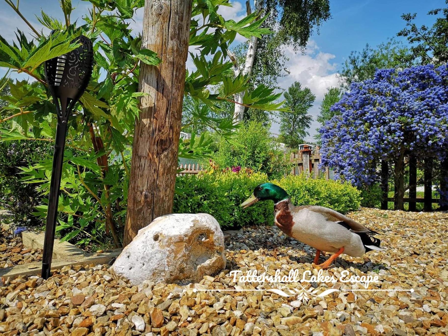 Meridian Tattershall Lakes Escape - Lakeside Lodge Caravan With A Fishing Peg Luxury Hot Tub 外观 照片